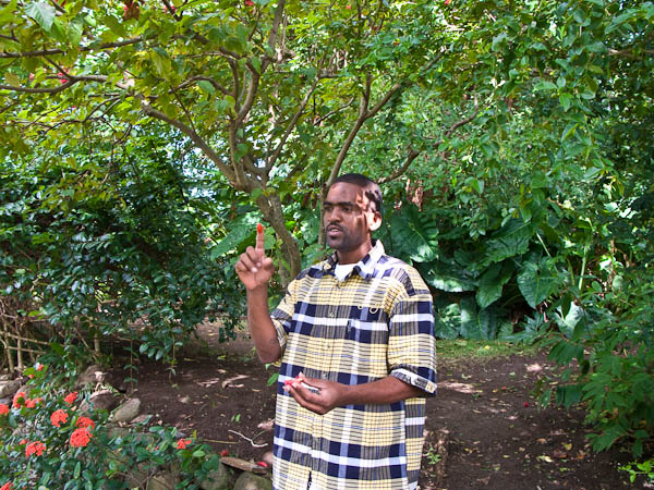 Romney Manor, home of Caribelle Batik on the island of St Kitts