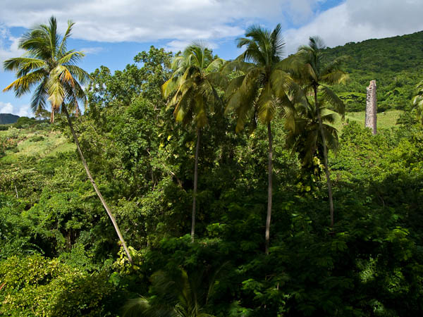 Romney Manor, home of Caribelle Batik on the island of St Kitts