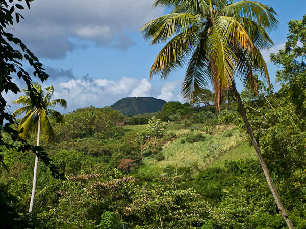 Romney Manor, home of Caribelle Batik on the island of St Kitts