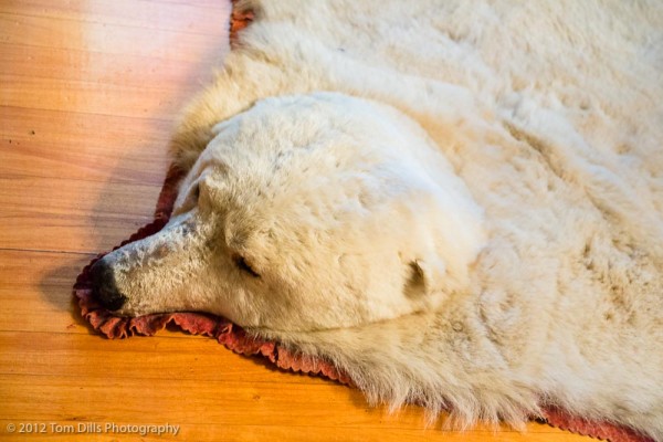 Bear rug at Craigdarroch Castle in Victoria, British Columbia
