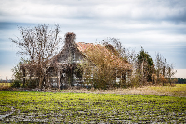 Abandoned house along SR 264 near Englehard, North Carolina