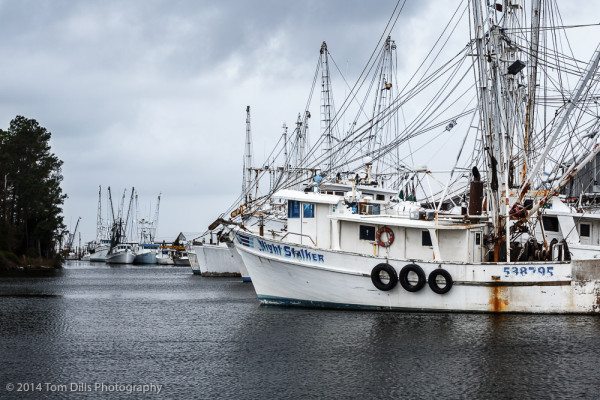 Fishing boats in Swan Quarter, North Carolina