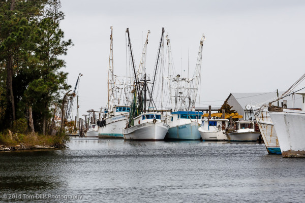 Fishing boats in Swan Quarter, North Carolina