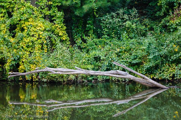 Natural Bridge State Park, Kentucky