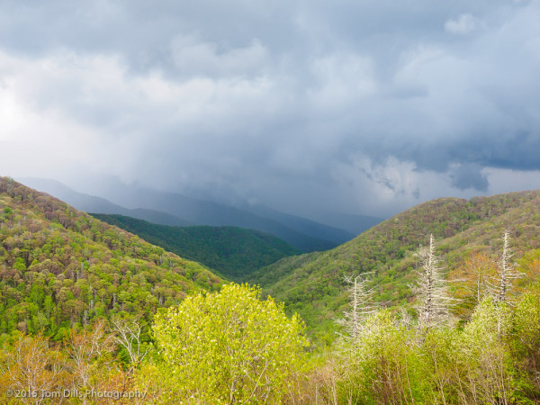 Storm clouds along the Blue Ridge Parkway near Mount Mitchell State Park, North Carolina