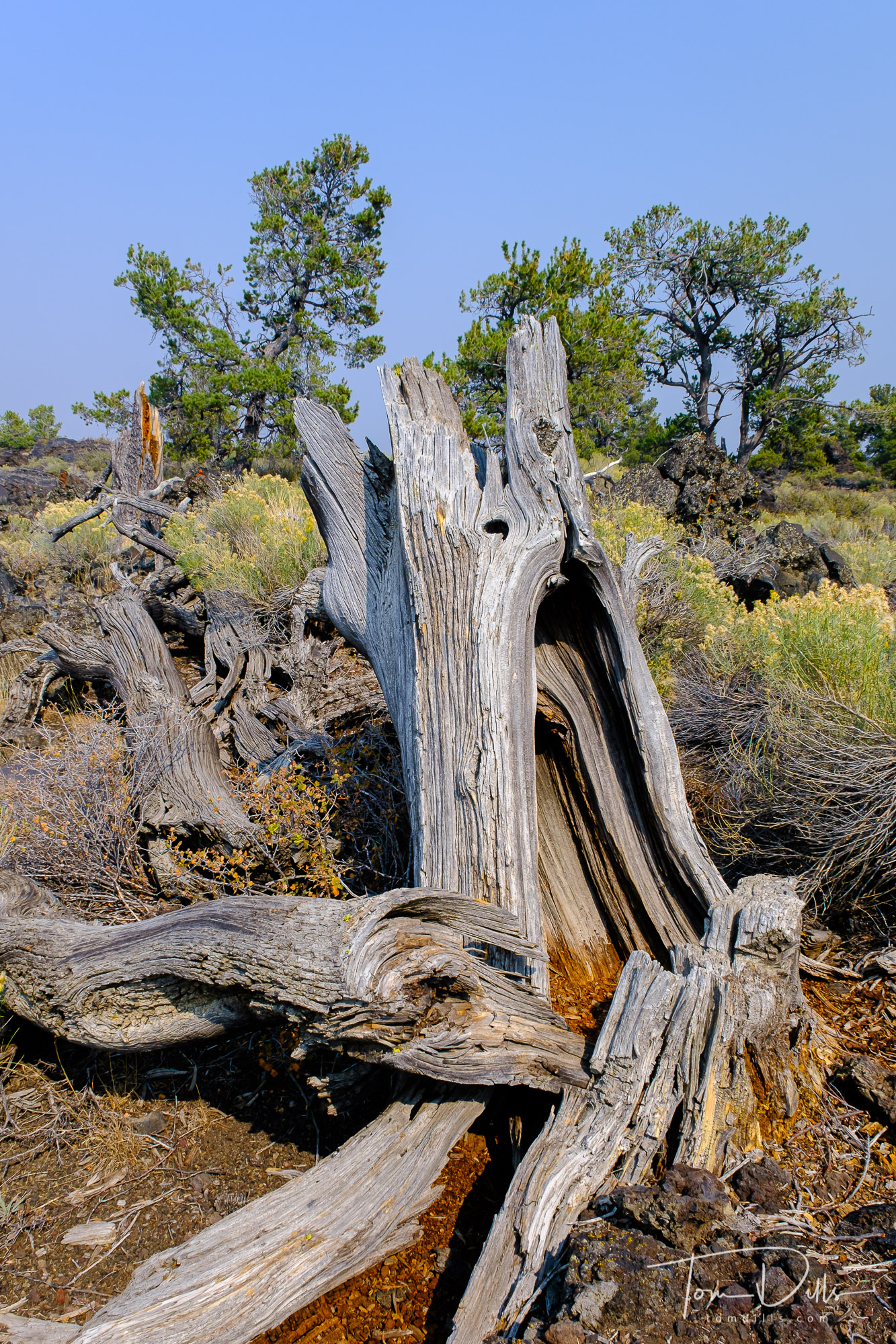 Craters of the Moon National Monument and Preserve near ...